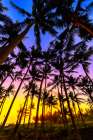 Sunset in Bali, Indonesia, a tropical paradise. Art Print